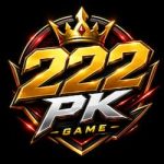 222pk game apk